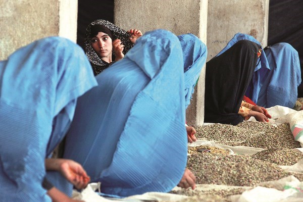 وصف الصورة