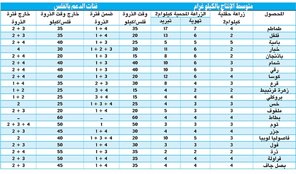 وصف الصورة