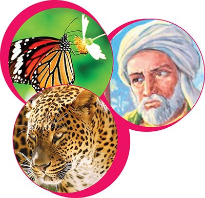 وصف الصورة