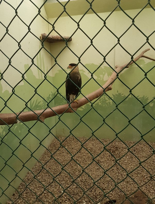وصف الصورة