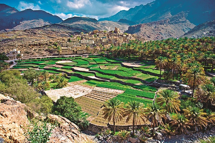 وصف الصورة