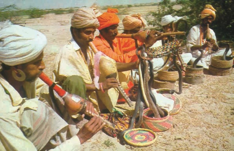 وصف الصورة