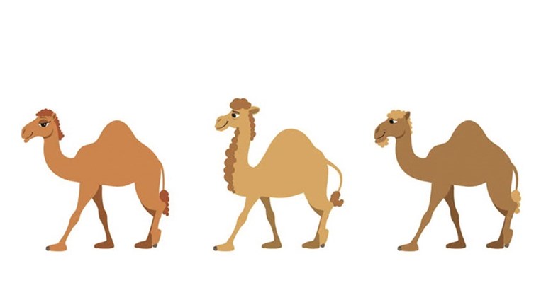 وصف الصورة