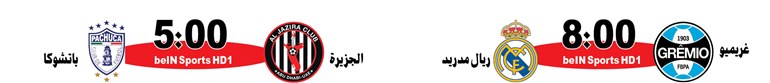 وصف الصورة