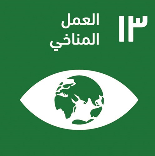 وصف الصورة