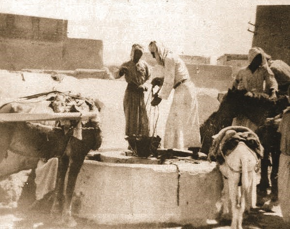 وصف الصورة