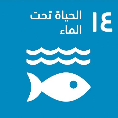 وصف الصورة