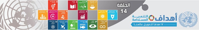 وصف الصورة