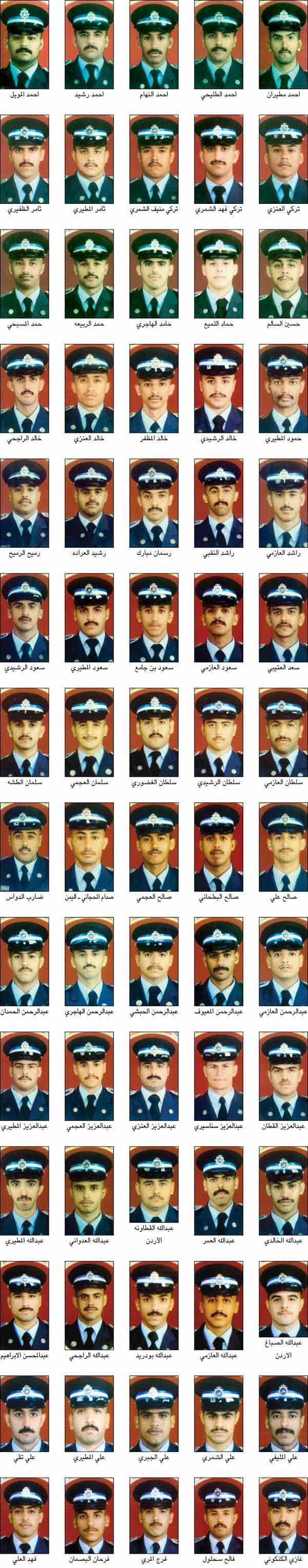 وصف الصورة