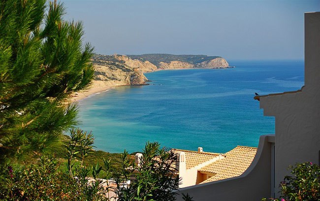 سالمة