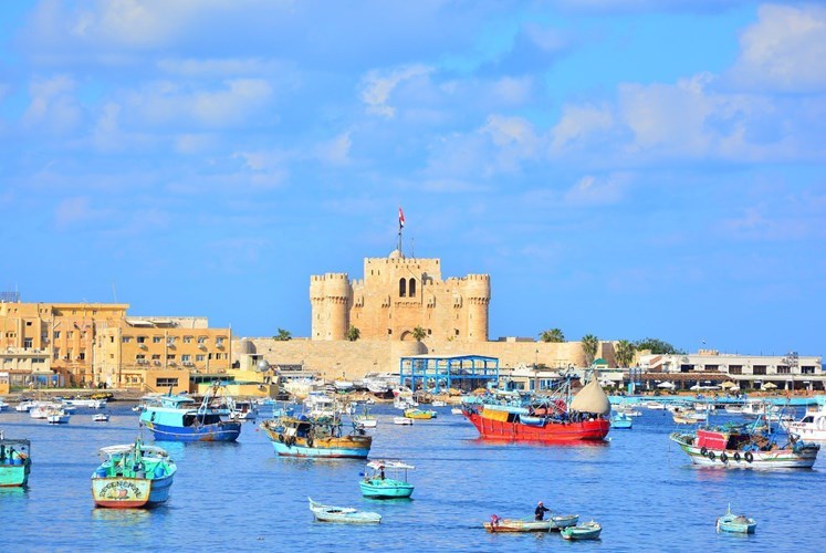 وصف الصورة