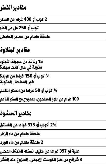 وصف الصورة