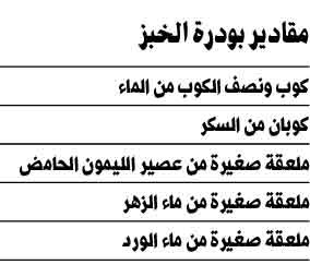 وصف الصورة