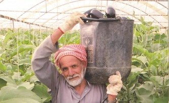 وصف الصورة