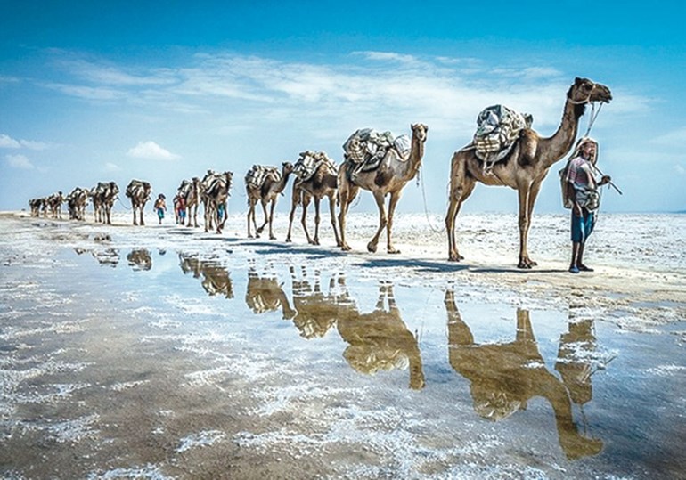 وصف الصورة