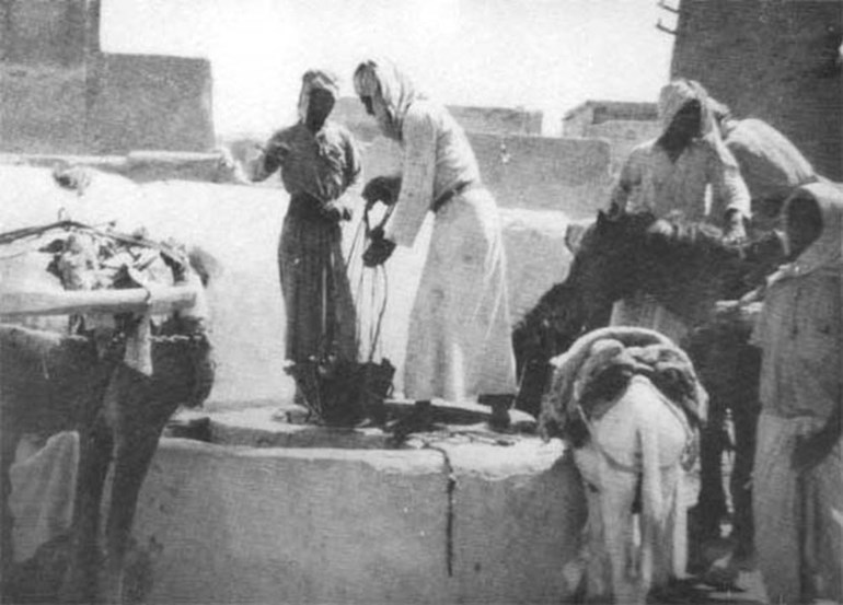 وصف الصورة