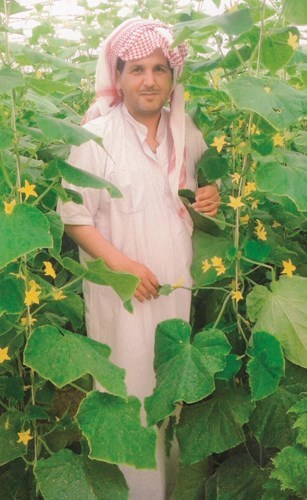 وصف الصورة