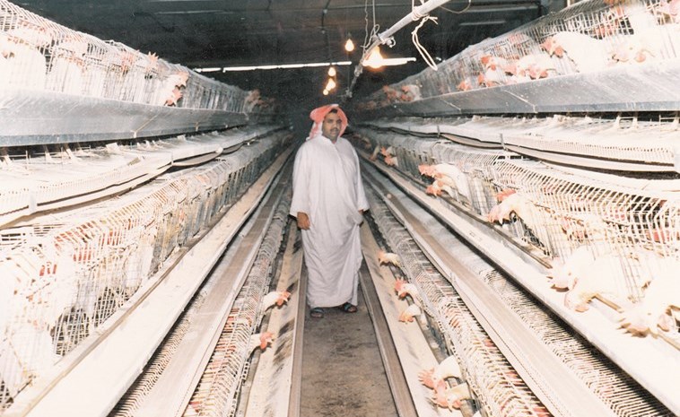 وصف الصورة