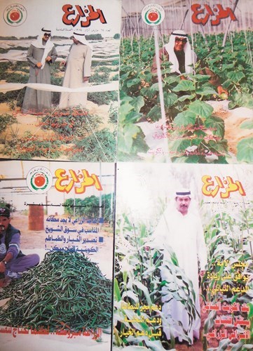 وصف الصورة