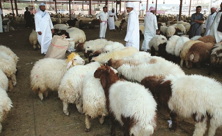وصف الصورة