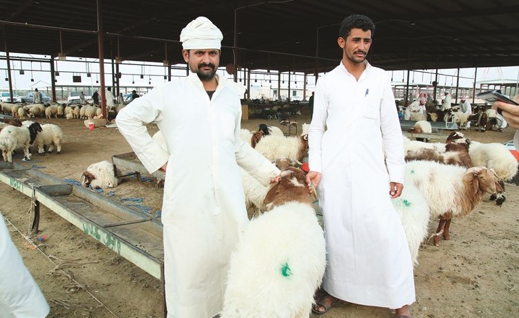 وصف الصورة