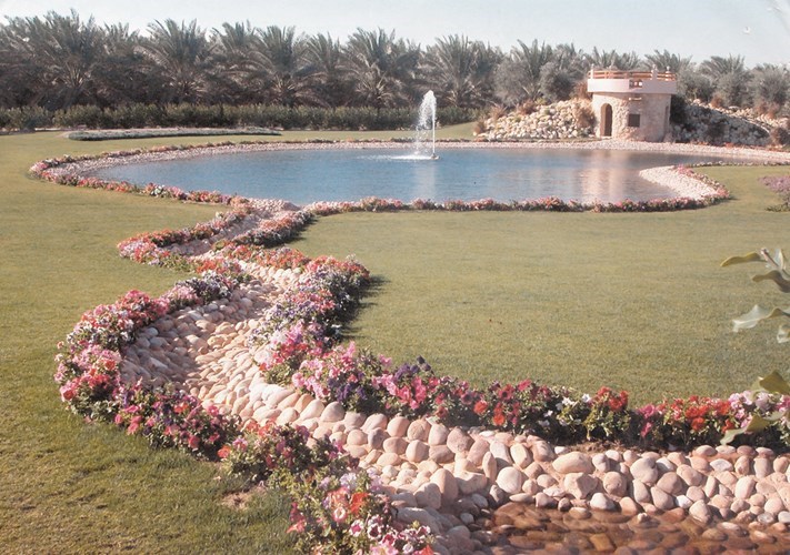 وصف الصورة