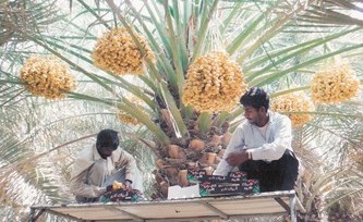 وصف الصورة