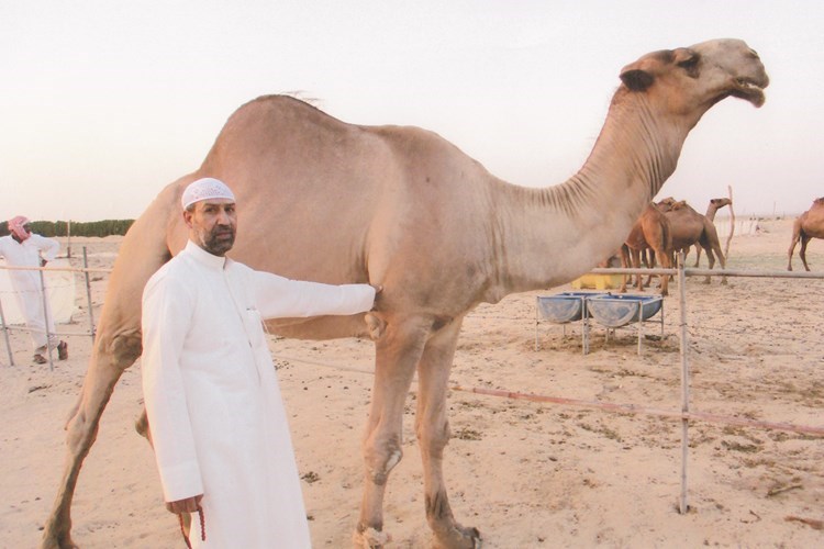 وصف الصورة