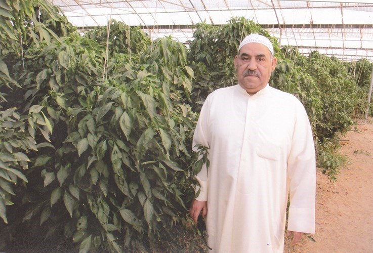 وصف الصورة