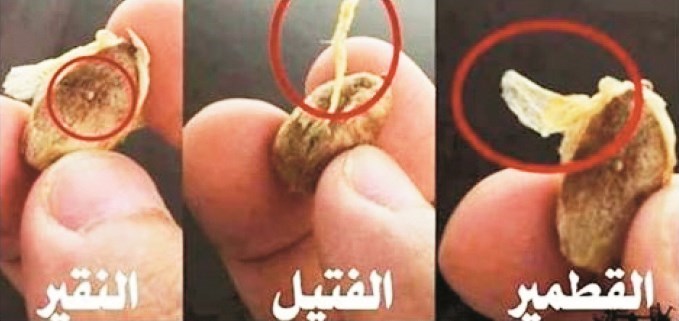 وصف الصورة