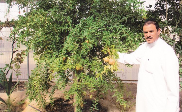 وصف الصورة
