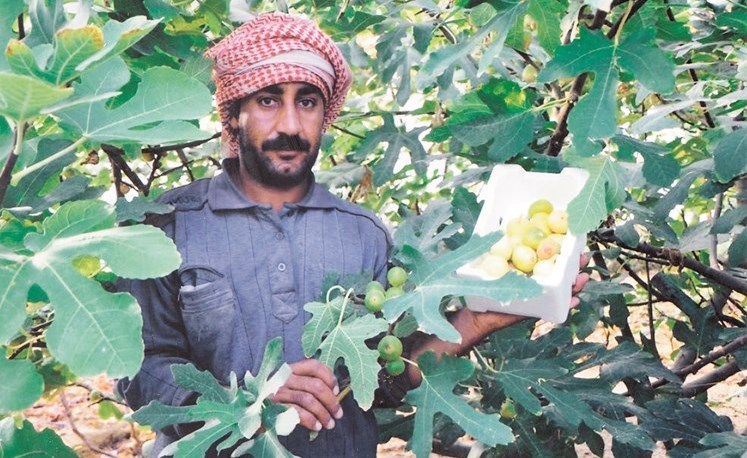 وصف الصورة