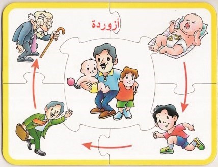 وصف الصورة