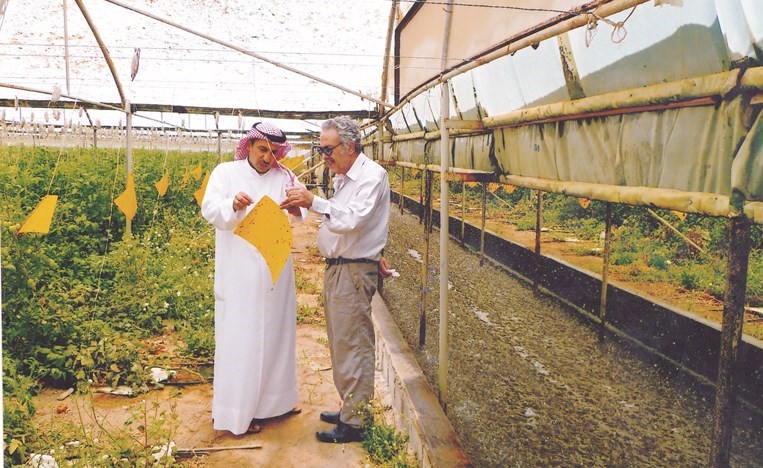 وصف الصورة