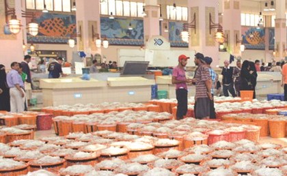 بالفيديو.. منع صيد الروبيان بالمياه الإقليمية لأول مرة