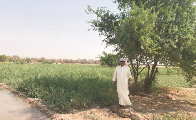 وصف الصورة