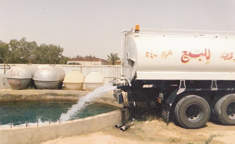 وصف الصورة