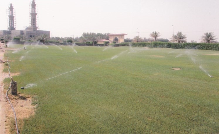 وصف الصورة