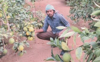 وصف الصورة