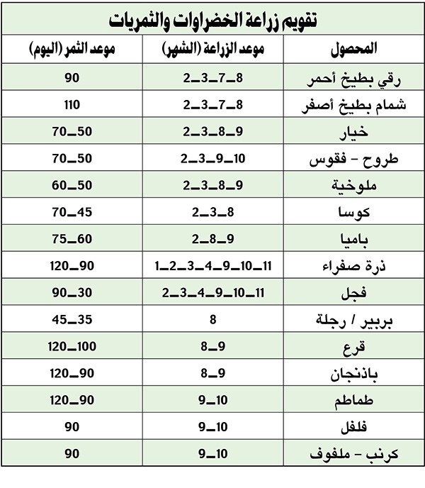 وصف الصورة