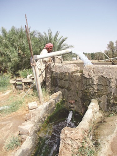 وصف الصورة