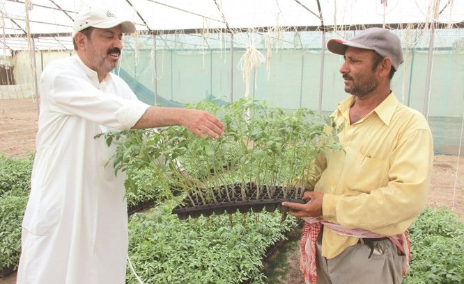 وصف الصورة