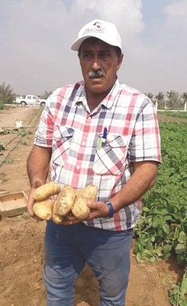 وصف الصورة