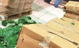 كراتين شرائح بطاطا مقرمشة