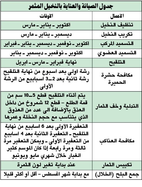 وصف الصورة