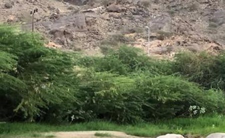 هل تصدق أن هذه أودية في جنوب السعودية؟