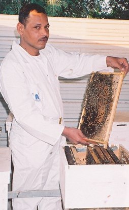 وصف الصورة