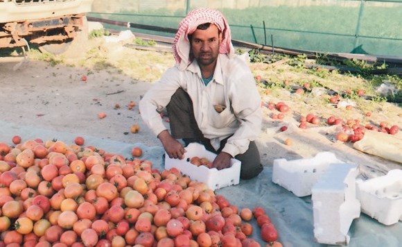 وصف الصورة