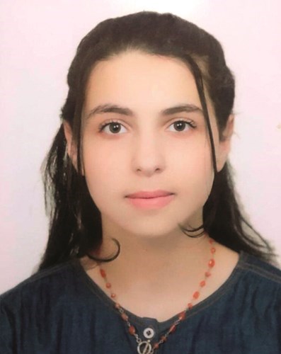 وصف الصورة