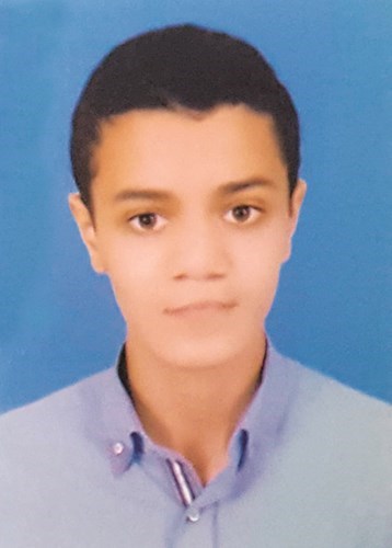 وصف الصورة